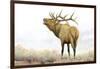 Majestic Elk Brown-James Wiens-Framed Art Print