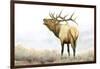 Majestic Elk-James Wiens-Framed Art Print