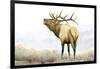 Majestic Elk-James Wiens-Framed Art Print