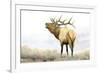 Majestic Elk-James Wiens-Framed Art Print