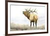 Majestic Elk-James Wiens-Framed Art Print