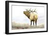 Majestic Elk-James Wiens-Framed Art Print