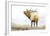 Majestic Elk-James Wiens-Framed Art Print