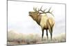Majestic Elk-James Wiens-Mounted Art Print