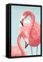 Majestic Flamingos-Jacob Q-Framed Stretched Canvas