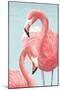 Majestic Flamingos-Jacob Q-Mounted Art Print