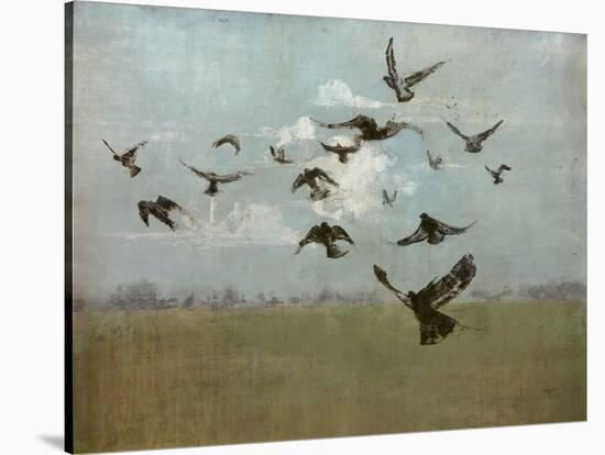 Majestic Flight-Kari Taylor-Stretched Canvas