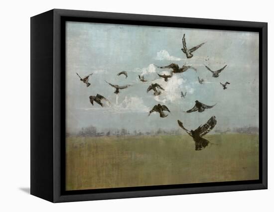 Majestic Flight-Kari Taylor-Framed Stretched Canvas