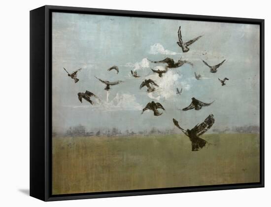 Majestic Flight-Kari Taylor-Framed Stretched Canvas