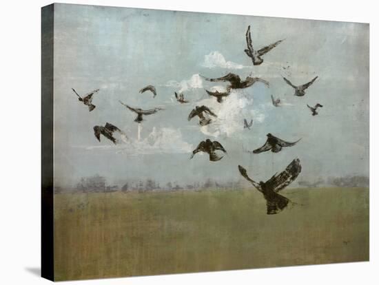 Majestic Flight-Kari Taylor-Stretched Canvas