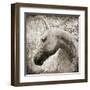 Majestic Horse-Eric Yang-Framed Art Print