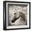 Majestic Horse-Eric Yang-Framed Art Print