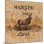 Majestic Land-Arnie Fisk-Mounted Art Print