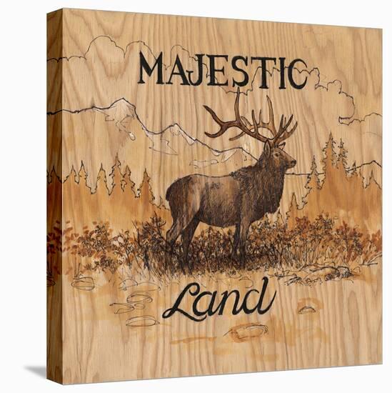 Majestic Land-Arnie Fisk-Stretched Canvas