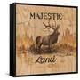 Majestic Land-Arnie Fisk-Framed Stretched Canvas