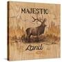 Majestic Land-Arnie Fisk-Stretched Canvas