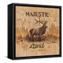 Majestic Land-Arnie Fisk-Framed Stretched Canvas