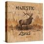 Majestic Land-Arnie Fisk-Stretched Canvas