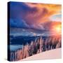 Majestic Landscape Glowing by Sunlight in the Morning. Dramatic and Picturesque Wintry Scene. Locat-Creative Travel Projects-Stretched Canvas