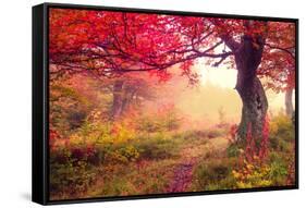 Majestic Landscape with Autumn Trees in Forest. Carpathian, Ukraine, Europe. Beauty World. Retro Fi-Leonid Tit-Framed Stretched Canvas