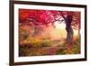 Majestic Landscape with Autumn Trees in Forest. Carpathian, Ukraine, Europe. Beauty World. Retro Fi-Leonid Tit-Framed Photographic Print