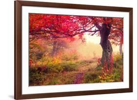 Majestic Landscape with Autumn Trees in Forest. Carpathian, Ukraine, Europe. Beauty World. Retro Fi-Leonid Tit-Framed Photographic Print