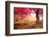 Majestic Landscape with Autumn Trees in Forest. Carpathian, Ukraine, Europe. Beauty World. Retro Fi-Leonid Tit-Framed Photographic Print