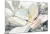 Majestic Magnolia Green Gray Crop-Julia Purinton-Mounted Art Print