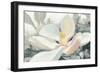 Majestic Magnolia Green Gray Crop-Julia Purinton-Framed Premium Giclee Print