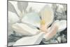 Majestic Magnolia Green Gray Crop-Julia Purinton-Mounted Premium Giclee Print