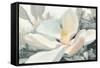 Majestic Magnolia Green Gray Crop-Julia Purinton-Framed Stretched Canvas