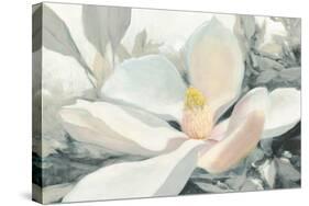 Majestic Magnolia Green Gray Crop-Julia Purinton-Stretched Canvas