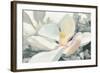 Majestic Magnolia Green Gray Crop-Julia Purinton-Framed Art Print
