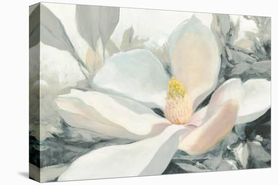 Majestic Magnolia Green Gray Crop-Julia Purinton-Stretched Canvas