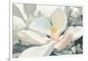 Majestic Magnolia Green Gray Crop-Julia Purinton-Framed Art Print