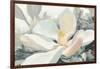 Majestic Magnolia Green Gray Crop-Julia Purinton-Framed Art Print