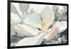 Majestic Magnolia Green Gray Crop-Julia Purinton-Framed Art Print