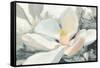 Majestic Magnolia Green Gray Crop-Julia Purinton-Framed Stretched Canvas