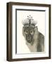 Majestic Monkey I-null-Framed Art Print