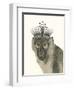 Majestic Monkey I-null-Framed Art Print