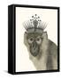 Majestic Monkey I-null-Framed Stretched Canvas