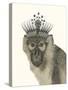 Majestic Monkey I-null-Stretched Canvas