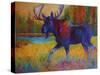 Majestic Moose-Marion Rose-Stretched Canvas