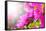 Majestic Morning Scene With Butterfly Feeding On Nectar Of A Bouganvillea Flower With Sunrays-smarnad-Framed Stretched Canvas