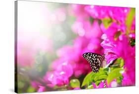 Majestic Morning Scene With Butterfly Feeding On Nectar Of A Bouganvillea Flower With Sunrays-smarnad-Stretched Canvas