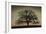 Majestic Oak-David Winston-Framed Art Print