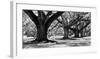 Majestic Oaks I-Jeff Maihara-Framed Giclee Print