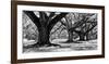 Majestic Oaks I-Jeff Maihara-Framed Giclee Print