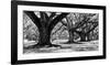 Majestic Oaks I-Jeff Maihara-Framed Giclee Print