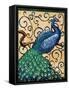 Majestic Peacock I-Paul Brent-Framed Stretched Canvas